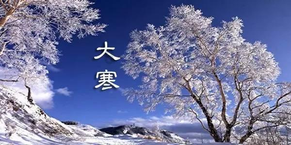 卡哇伊拳击手