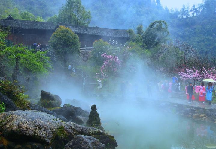 大丛林度假村逃生