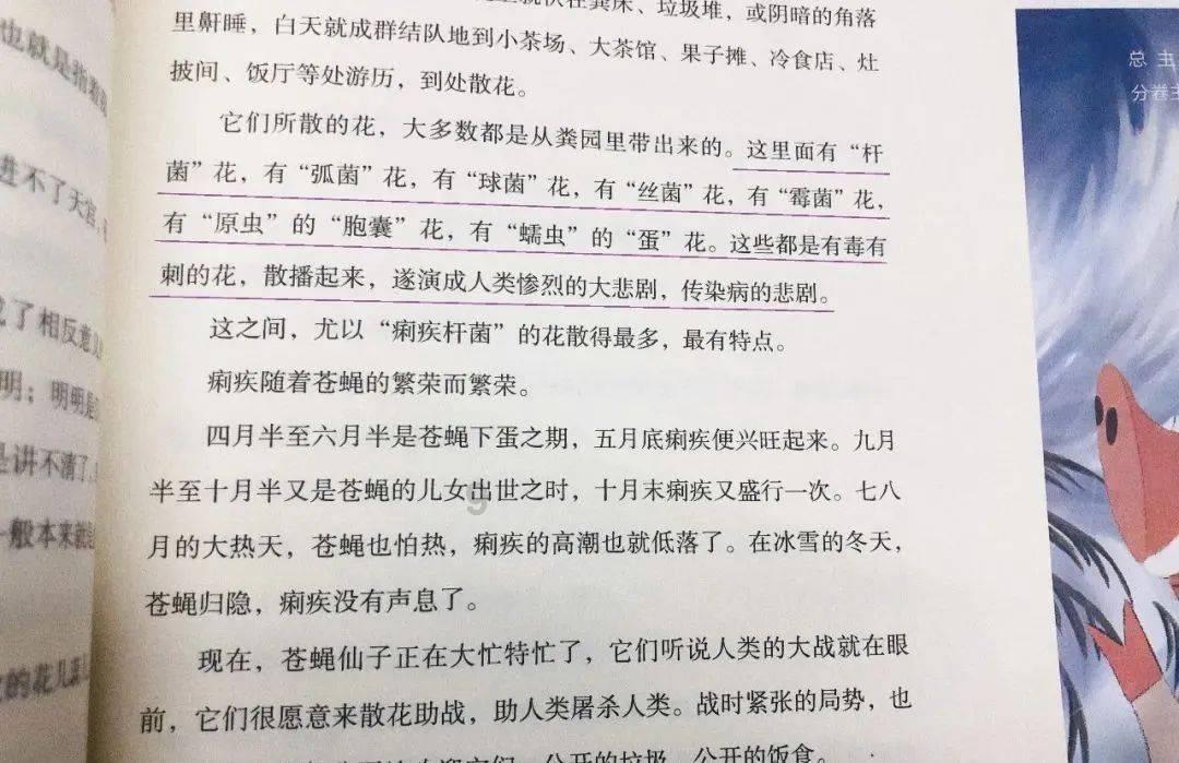 贝儿公主的晚礼服