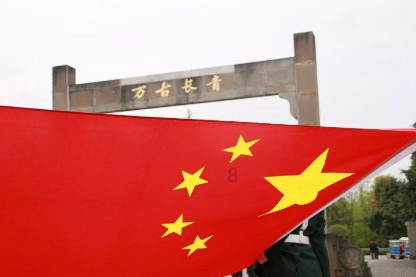呆萌动物园