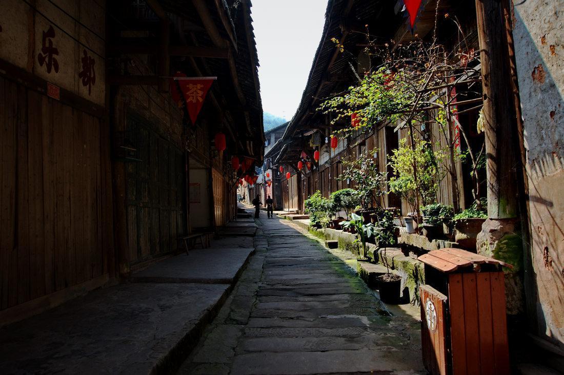 逃离废弃高校
