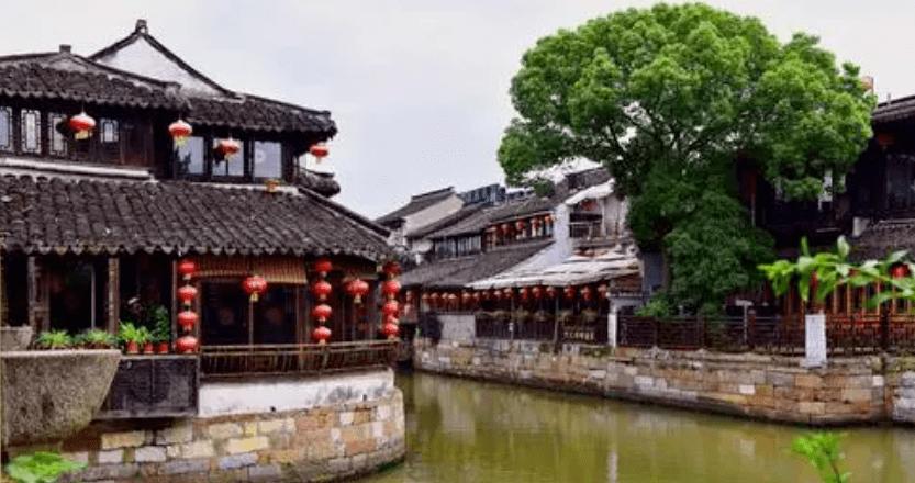 忘记关狗,以为只有纸巾遭殃,回家之后一看,彻底崩溃了