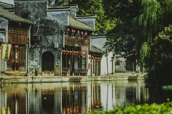 植物大战僵尸13